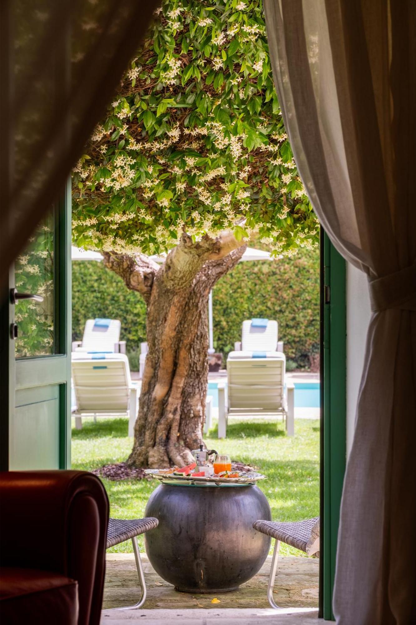 Palazzo Ducale Venturi - Luxury Hotel & Wellness ミネルヴィーノ・ディ・レッチェ エクステリア 写真
